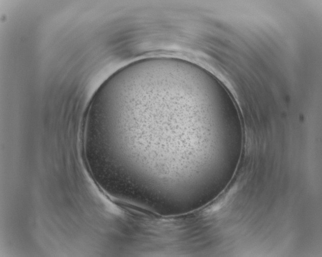 X0000088581533200706081110