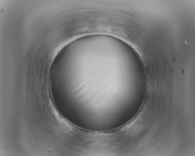 X0000088581534200706081110