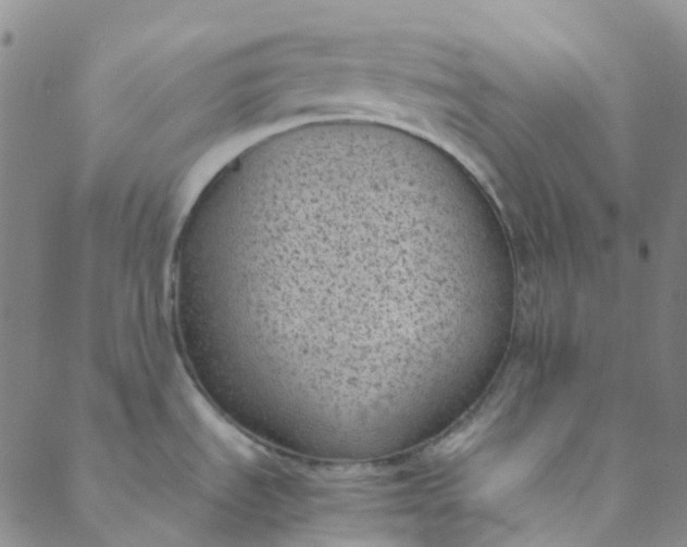 X0000088581535200706081110