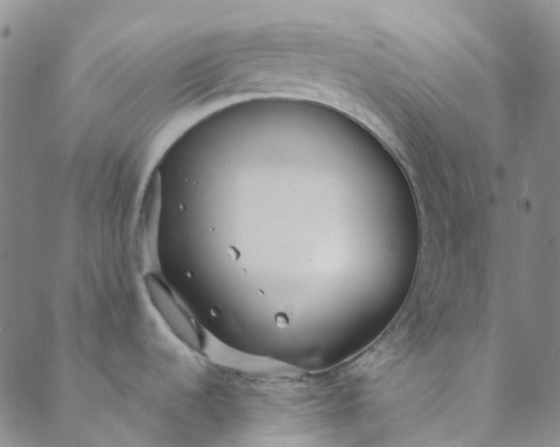 X0000088581536200706081110