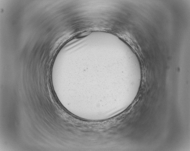 X0000088580001200706151723