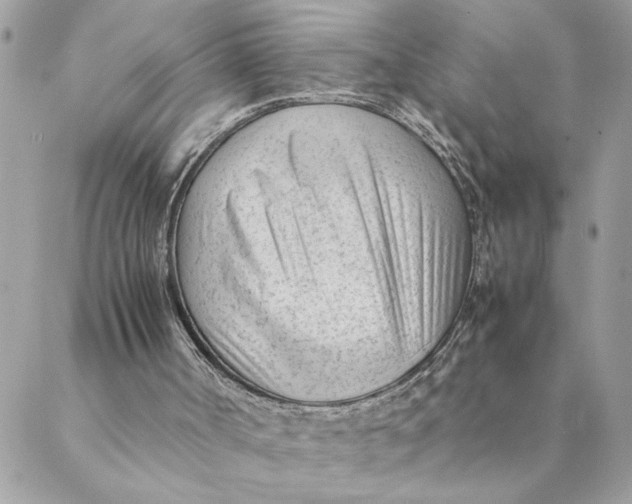 X0000088580002200706151723