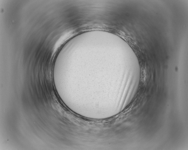 X0000088580004200706151723