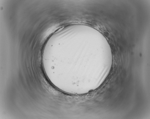 X0000088580005200706151723