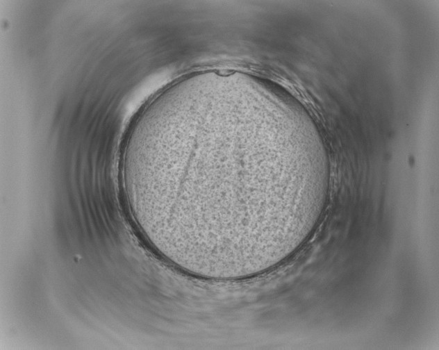 X0000088580006200706151723