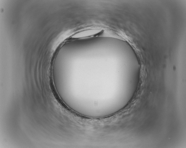 X0000088580007200706151723