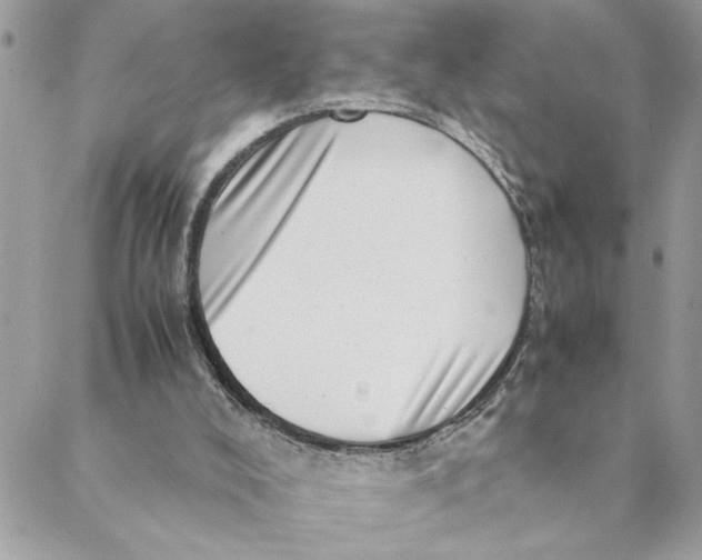 X0000088580008200706151723