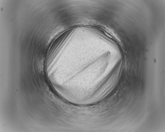 X0000088580010200706151723