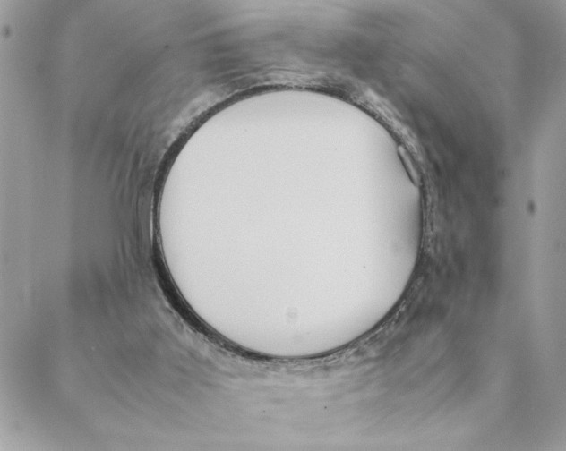 X0000088580011200706151723