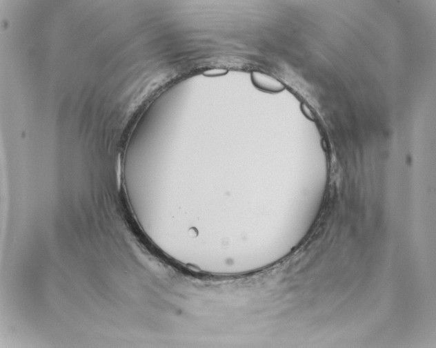 X0000088580013200706151723