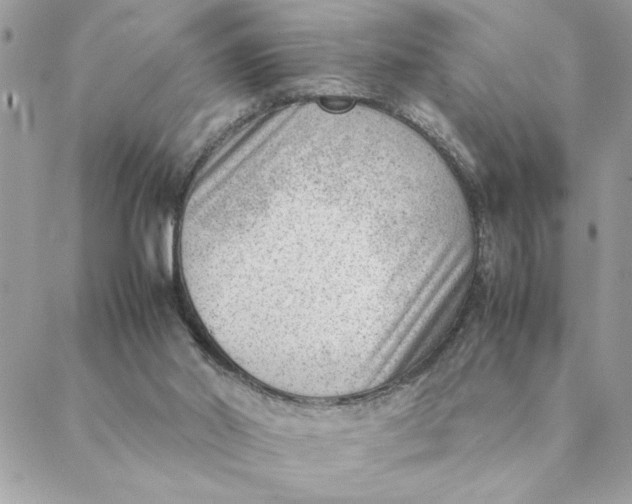 X0000088580014200706151723