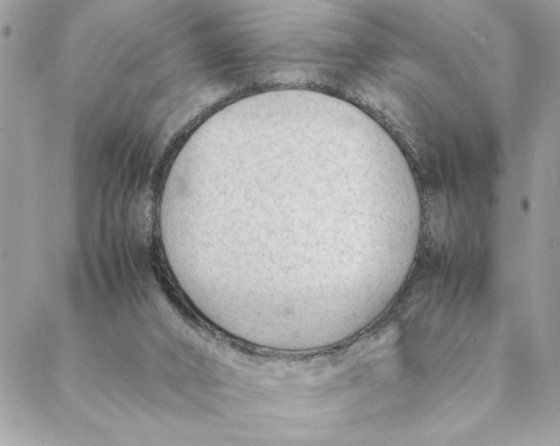 X0000088580016200706151723