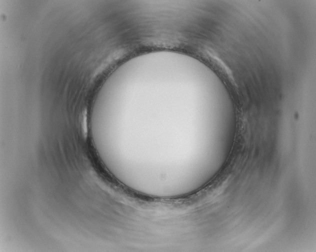 X0000088580020200706151723