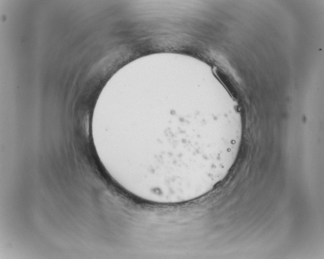 X0000088580021200706151723