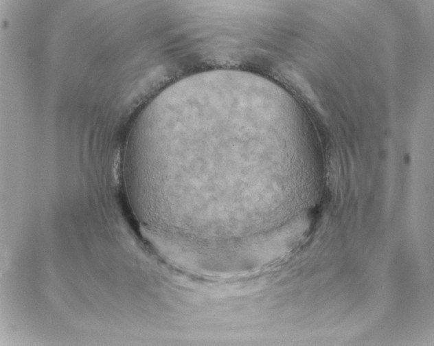 X0000088580023200706151723