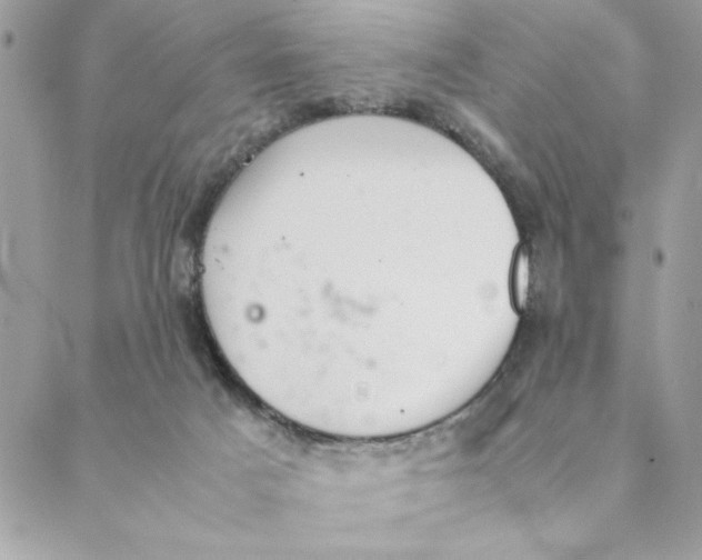 X0000088580025200706151723