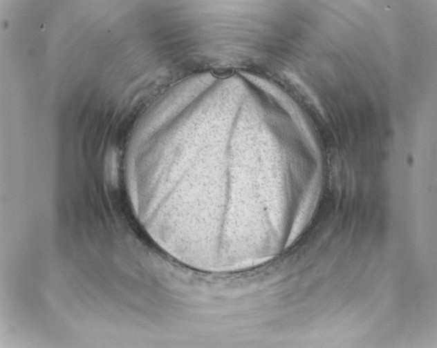 X0000088580026200706151723