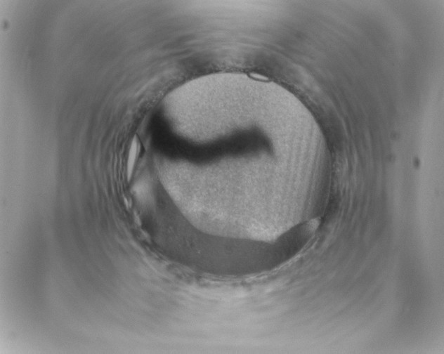 X0000088580029200706151722