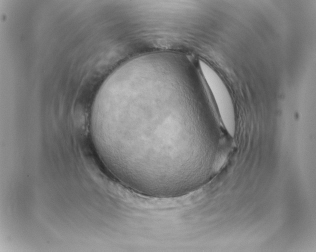 X0000088580031200706151722