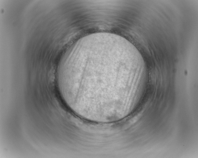 X0000088580032200706151722