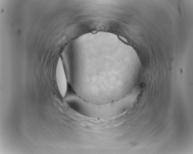 X0000088580039200706151722