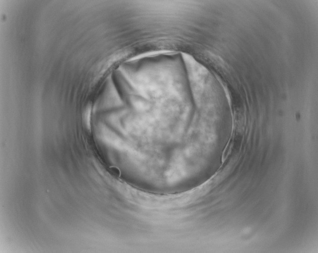 X0000088580047200706151722