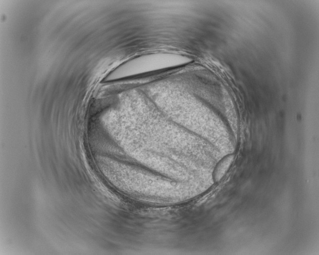 X0000088580049200706151721