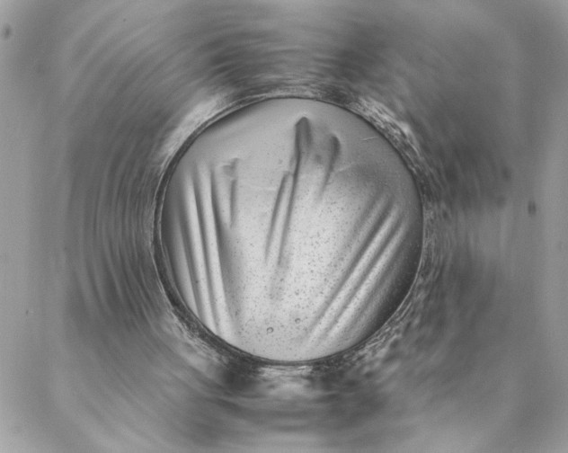 X0000088580051200706151721