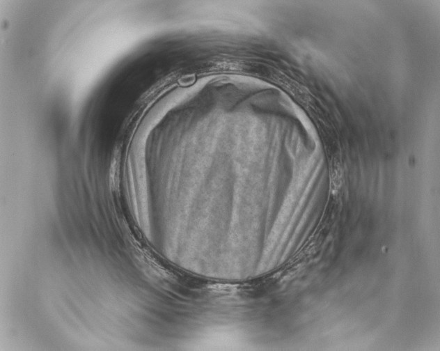 X0000088580052200706151721