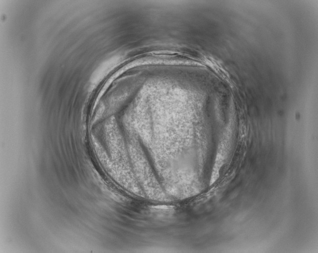 X0000088580053200706151721