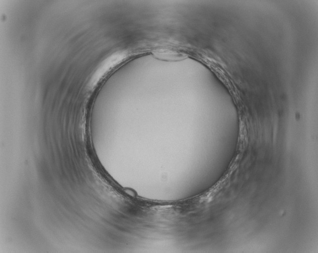 X0000088580054200706151721