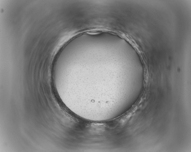 X0000088580055200706151721