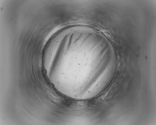 X0000088580056200706151721