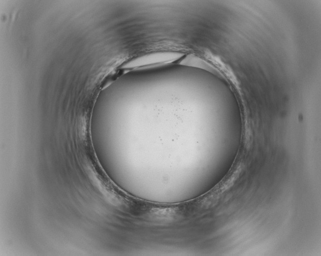 X0000088580057200706151721