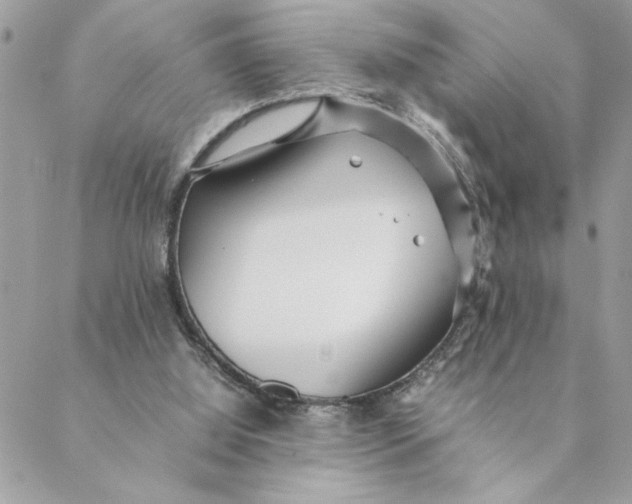 X0000088580060200706151722