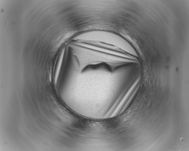 X0000088580062200706151722