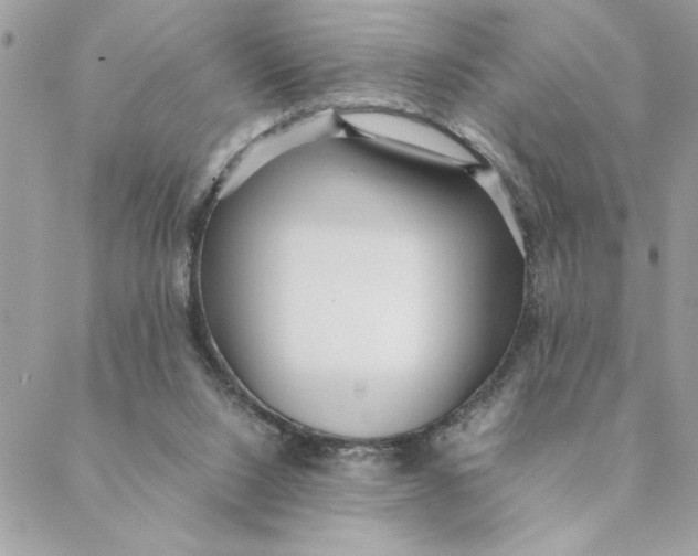 X0000088580064200706151722