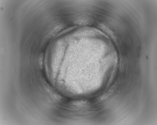 X0000088580065200706151722