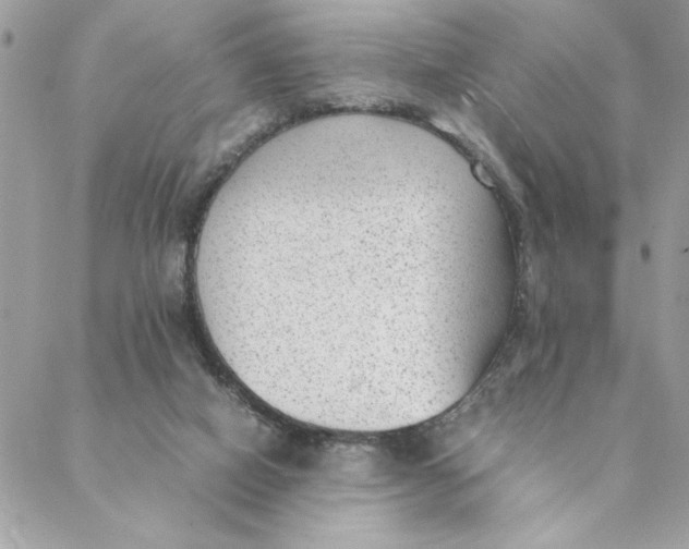 X0000088580066200706151722