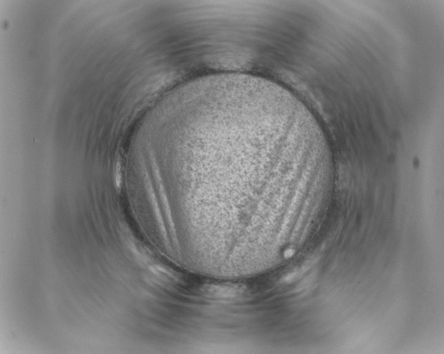 X0000088580069200706151722