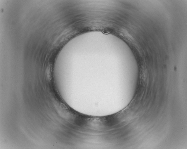 X0000088580074200706151722