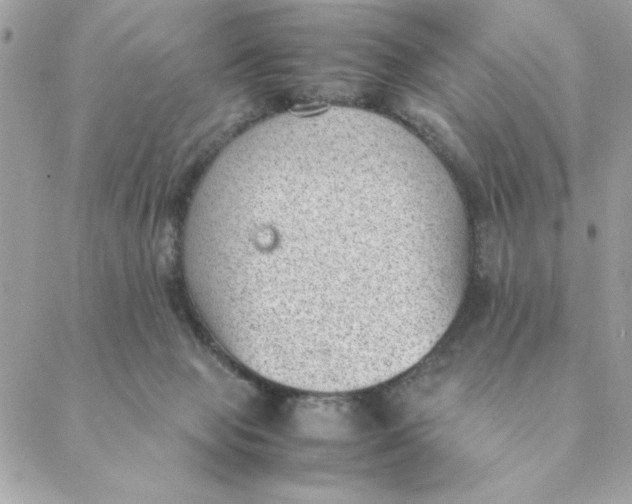 X0000088580077200706151722