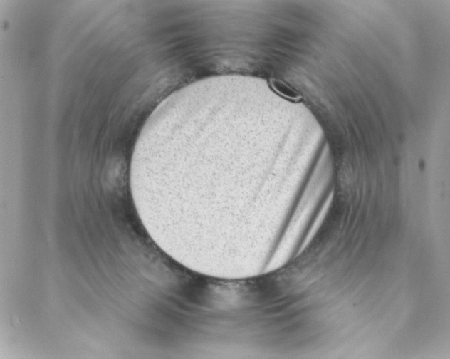 X0000088580079200706151722