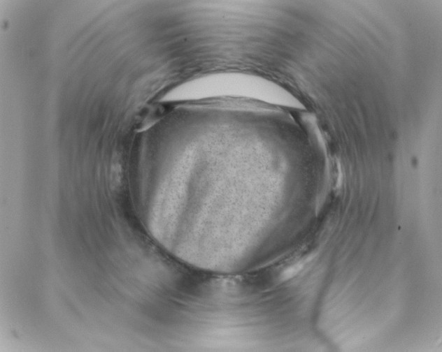 X0000088580080200706151722