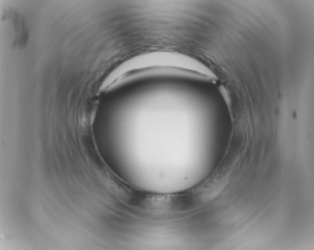 X0000088580084200706151722