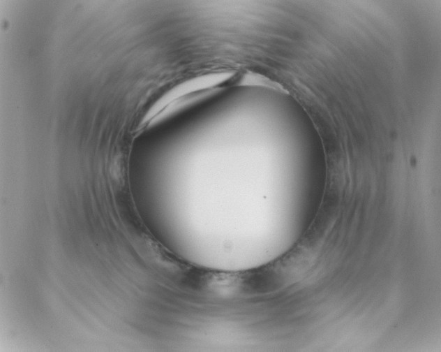 X0000088580088200706151722