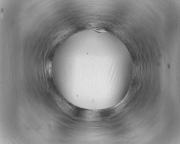 X0000088580094200706151722