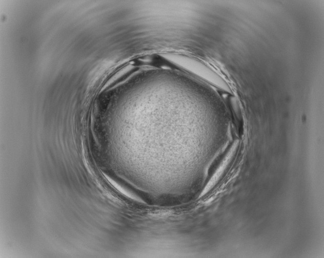 X0000088580097200706151721