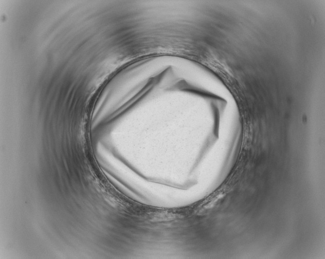 X0000088580098200706151721