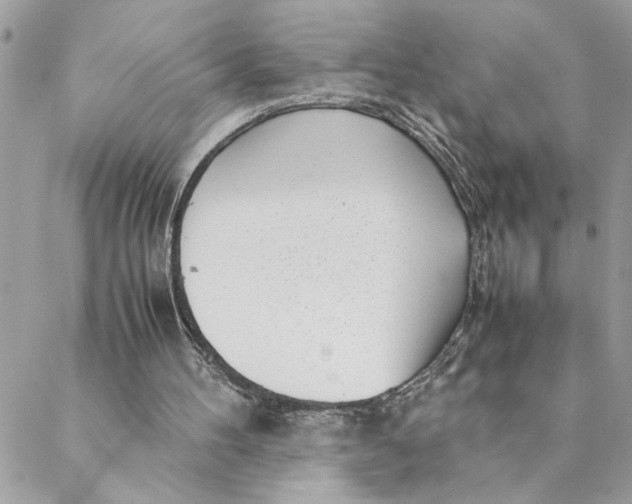 X0000088580100200706151721